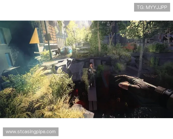 12博官网真人提供最真实的游戏体验享受极致娱乐快感