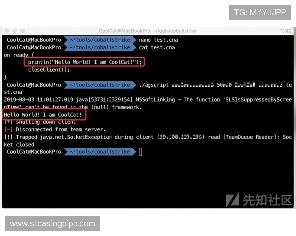 ag zhenren会员申请流程详细指南助你轻松完成会员注册