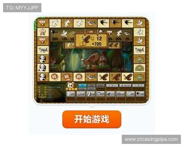 金鲨银鲨游戏安全保障措施全面解析确保玩家账号信息安全无忧