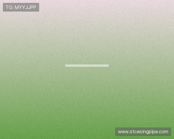 新西兰对阵埃及世界杯比赛今日比分实时追踪,比赛过程与结果一览